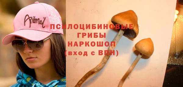ГАЛЛЮЦИНОГЕННЫЕ ГРИБЫ Пролетарск
