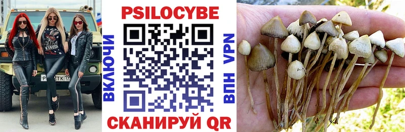 Купить где  Юхнов  Псилоцибиновые грибы прущие грибы 
